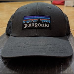 Patagonia P-6 Logo LoPro Trucker Hat